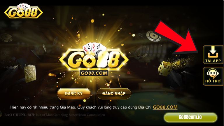 Banner www.hodangtran.vn