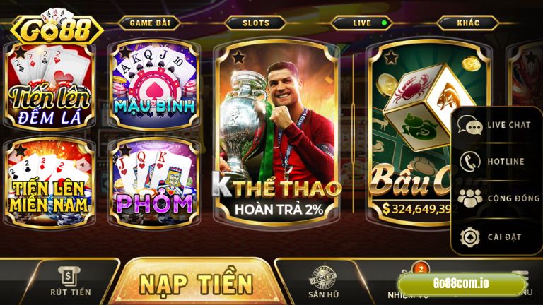 Banner www.hodangtran.vn