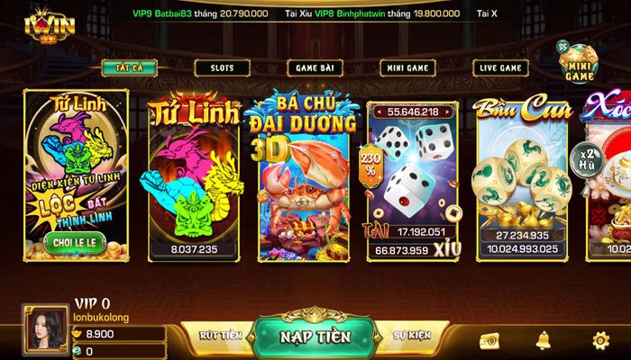 Banner www.hodangtran.vn