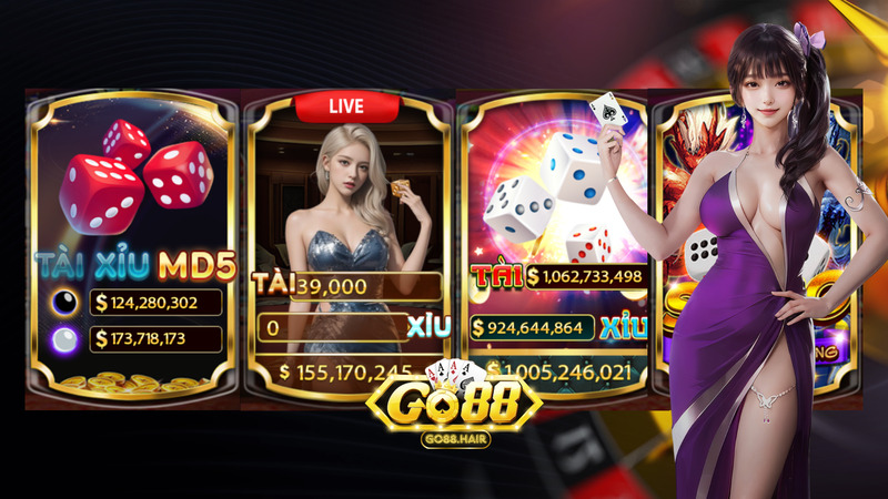 Banner www.hodangtran.vn