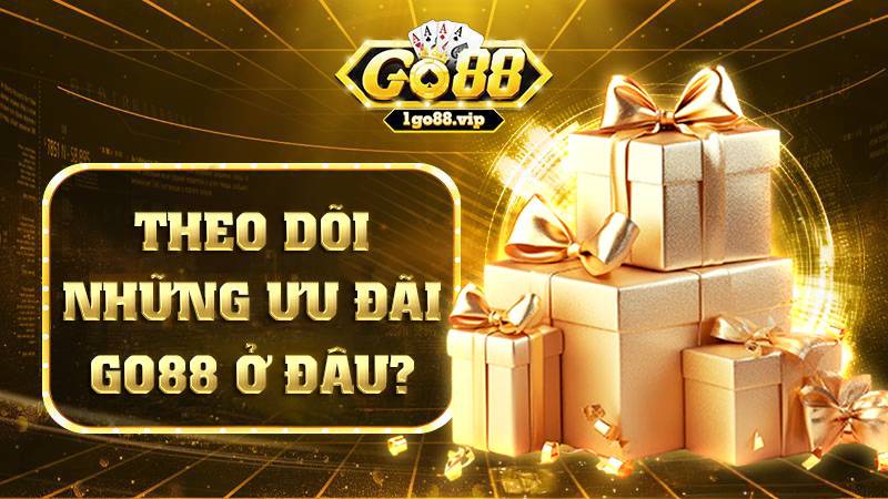 Banner www.hodangtran.vn